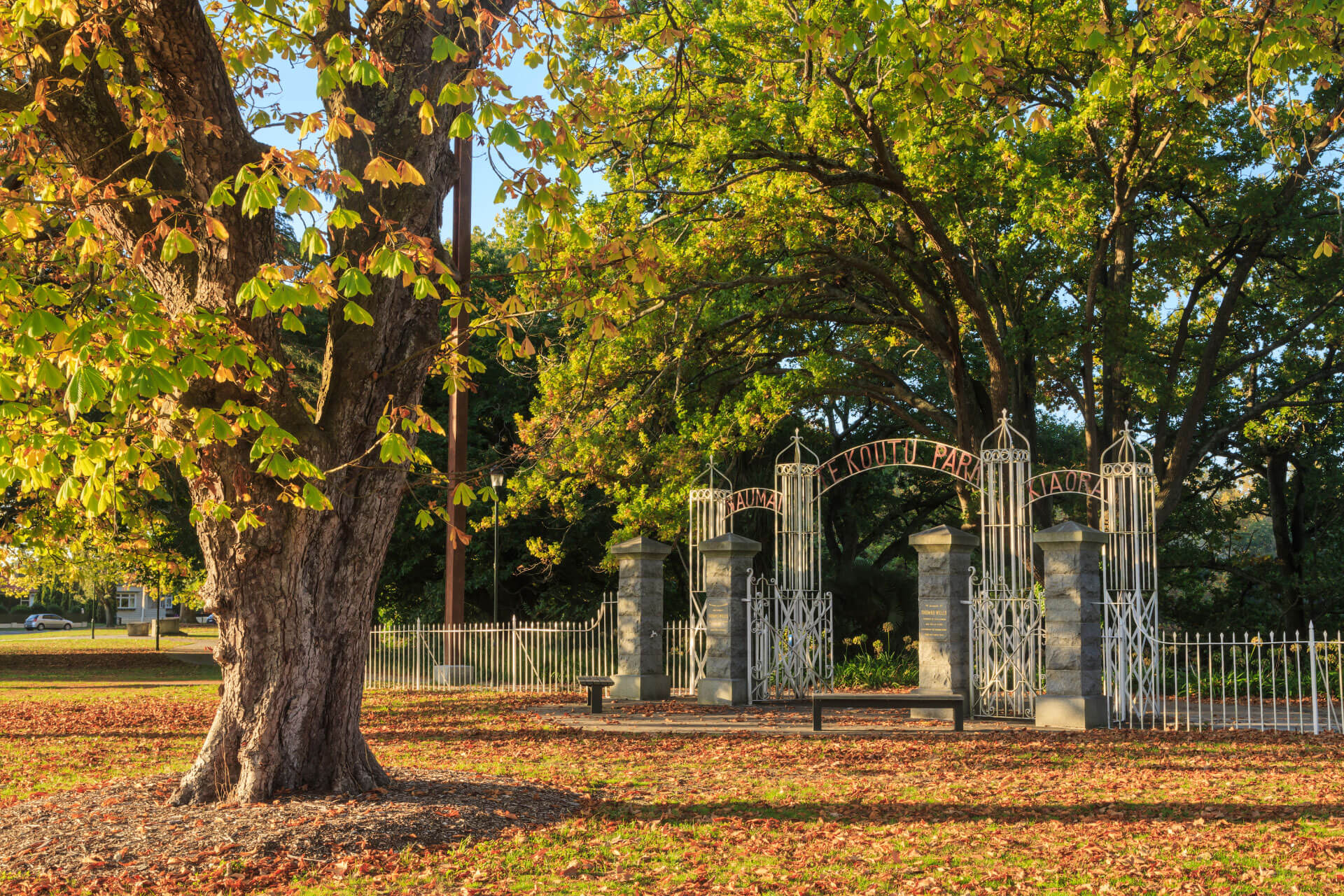 home-cambridge-oaks